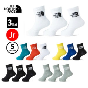 y[։zUEm[XEtFCX 2024Nt TNF WJ[h S 3P N[iLbYj NNJ82411 KW MG MK WK MW C 3g 3Zbg WjA q