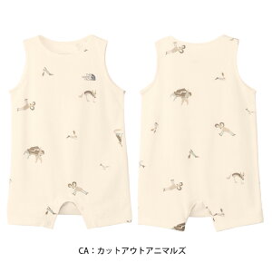 y}\ԒP5{zy[։zUEm[XEtFCX 2025Nt xr[ g u[Y X[uX p[X NTB12568 Ԃ z