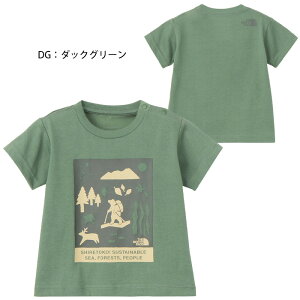 y[։zUEm[XEtFCX 2025Nt V[gX[u VgR gR eB[ixr[j NTB32534ST  gbvX Ԃ EFA  vg mgR UV AEghA ^E