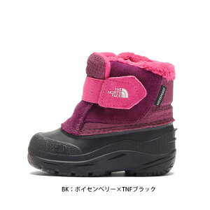 UEm[XEtFCX 2025NH~ gh[ Ay O[ IIixr[j NFB02740 TT BK V[Y u[c C Ԃ  V XL[