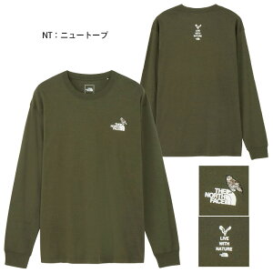 yBLACKFRIDAYԒP5{zUEm[XEtFCX 2025NH~ OX[u Y[sbJ[ eB[ijZbNXj NT82536 AG NT  TVc gbvX EFA hJ