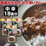 ＼楽天ランキング1位受賞／奄美大島生ウコンの本格カレー 3袋セット 18皿分 風と光 奄美カレー 中辛 カレ…