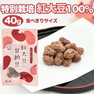 【訳あり品】賞味期限9月9日　紅大豆 甘納豆 40g 風と光 国産 甘納豆 甘さ控えめ 特別栽培紅大豆 豆菓子 …