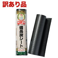 【訳あり品】＼半永久的 消臭 防カビ 除湿／B級品 備長炭シート 1個 備長炭発泡シート キッチン・リビン…