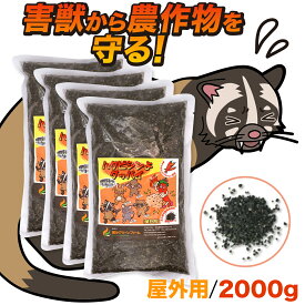 【畑に優しい害獣忌避剤】ハクビシン 忌避剤 ハクビシンよグッバイ 屋外用 2000g (500g×4) 害獣忌避剤 イタチ ハクビシン忌避剤 ハクビシン 寄せ付けない きひざい 撃退 害獣撃退 害獣対策 庭 畑 2kg ハクビシン対策 アライグマ 忌避剤 アライグマ 撃退 グッズ 野良猫