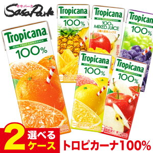 yIׂ2P[XzL gsJ[i100% 250ml e ǂ2P[Xiv48{jTropicana IW Abv pCibv O[vt[c }S[uh LLX pbN W[X t