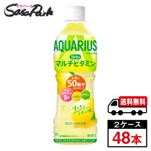 y[J[zyzANGAX 1̃}`r^~ PET 500ml×24{×2yv48{z
