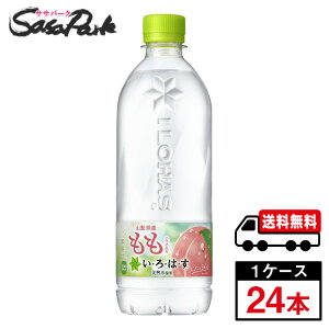 y[J[zyzEÉE  PET 540ml PET 1P[Xi24{j͂