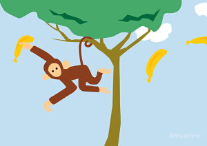 y[p[E`}bg wAfricolorexL[@10 iB4Łj `~ŐH삪NUPIĝĂȂ̂ŉĂS` igEp[eBEHɁI ƈ݁EƂ