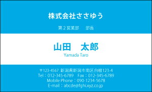 �y�f�U�C�����h����z�x�[�V�b�N���h�mB_027_hv�n�I�ׂ�7�F�s�J���[���h�Ж�100�����P�[�X�t�t�e���v���[�g��I��ŊȒP���h�쐬�V���v���ȃf�U�C���Ńr�W�l�X����v���C�x�[�g�܂ŕ��L��