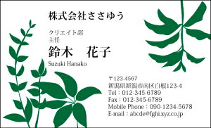 yfUChzt[hmF_009_snsJ[hЖ100P[Xttev[gIŊȒPh쐬炵Ƃ₳`鏗qɐlC̉ԕhły{^jJ