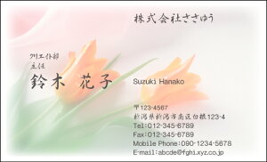 yfUChzt[hmF_010_mnsJ[hЖ100P[Xttev[gIŊȒPh쐬炵Ƃ₳`鏗qɐlC̉ԕhły`[bv