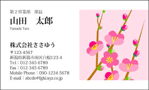 yfUChzt[hmF_014_tnsJ[hЖ100P[Xttev[gIŊȒPh쐬炵Ƃ₳`鏗qɐlC̉ԕhł