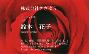 yfUChzt[hmF_019_mnsJ[hЖ100P[Xttev[gIŊȒPh쐬炵Ƃ₳`鏗qɐlC̉ԕhłyM̐ԃo