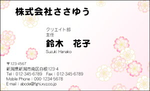 yfUChzt[hmF_023_hnsJ[hЖ100P[Xttev[gIŊȒPh쐬炵Ƃ₳`鏗qɐlC̉ԕhły킢~