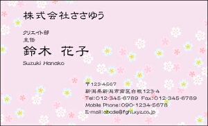 yfUChzt[hmF_027_hnsJ[hЖ100P[Xttev[gIŊȒPh쐬炵Ƃ₳`鏗qɐlC̉ԕhłyL[gȉ