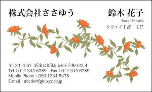 yfUChzt[hmF_030_tnsJ[hЖ100P[Xttev[gIŊȒPh쐬炵Ƃ₳`鏗qɐlC̉ԕhł