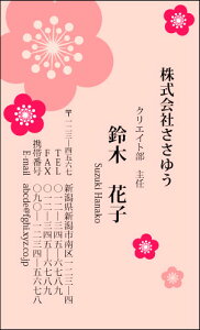 yfUChzt[hmF_034_snsJ[hЖ100P[Xttev[gIŊȒPh쐬炵Ƃ₳`鏗qɐlC̉ԕhł