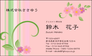 yfUChzt[hmF_043_knsJ[hЖ100P[Xttev[gIŊȒPh쐬炵Ƃ₳`鏗qɐlC̉ԕhłyƑl