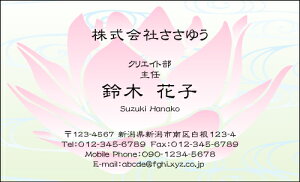 yfUChzt[hmF_054_mnsJ[hЖ100P[Xttev[gIŊȒPh쐬炵Ƃ₳`鏗qɐlC̉ԕhły@EnXE