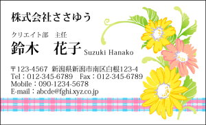 yfUChzt[hmF_057_tnsJ[hЖ100P[Xttev[gIŊȒPh쐬炵Ƃ₳`鏗qɐlC̉ԕhł