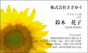 yfUChzt[hmF_058_snsJ[hЖ100P[Xttev[gIŊȒPh쐬炵Ƃ₳`鏗qɐlC̉ԕhłyЂ܂E