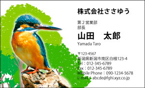 yfUChzEEƖhmH_497_ensJ[hЖ100P[Xttev[gIŊȒPh쐬XAcƁAt[̂EƂɁIVbvJ[hE|CgJ[hE