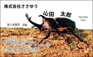 yfUChzEEƖhmH_566_mnsJ[hЖ100P[Xttev[gIŊȒPh쐬t[̂EƂX|[cAzr[܂ŖLxȃfUCpӁIy