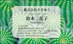 yfUChzX^CbVhmS_075_snsJ[hЖ100P[Xttev[gIŊȒPh쐬X}[gȃfUCŃZX̗ǂAs[IIV&N[