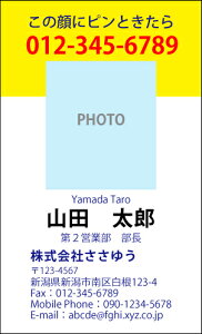名刺 ユニークの通販 価格比較 価格 Com