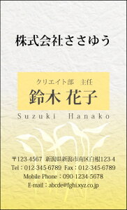 yfUChzahmW_058_tnsJ[hЖ100P[Xttev[gIŊȒPh쐬{̓`IȘa⑐Ԃ`[tɂŘaeCXgȖhł