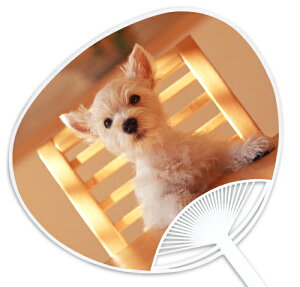 qEqLV[YwEGXgnChzCgeAx `̓Xł͐ΔȂXIWîł` ՂECxgɂ͐ȒcŁI