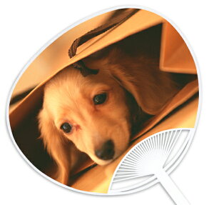 qEqLV[Yw~j`A_bNXtgiN[jx `̓Xł͐ΔȂXIWîł` ՂECxgɂ͐ȒcŁI