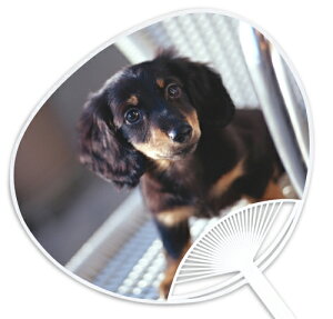 qEqLV[Yw~j`A_bNXtgiubNjx `̓Xł͐ΔȂXIWîł` ՂECxgɂ͐ȒcŁI