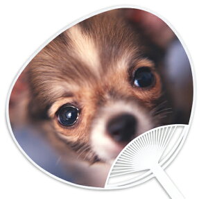 qEqLV[YwOR[g`x `̓Xł͐ΔȂXIWîł` ՂECxgɂ͐ȒcŁI