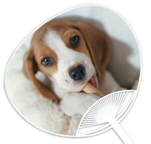 �q���E�q�L������V���[�Y�w�r�[�O���x �`���̓X�ł͐�Δ����Ȃ����X�I���W�i���̂�����ł��` ���Ղ�E�C�x���g�ɂ͐��Ȓc��ŁI