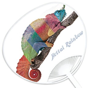 nޑDwM RAINBOWx `̓Xł͐ΔȂXIWîł` ՂECxgɂ͐ȒcŁI