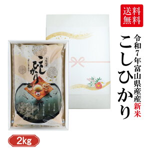 yʌzxRYЂ2kgMtg Ε  j  j Ε ~ Mtg xRY RVqJ ŷΉ ̂z