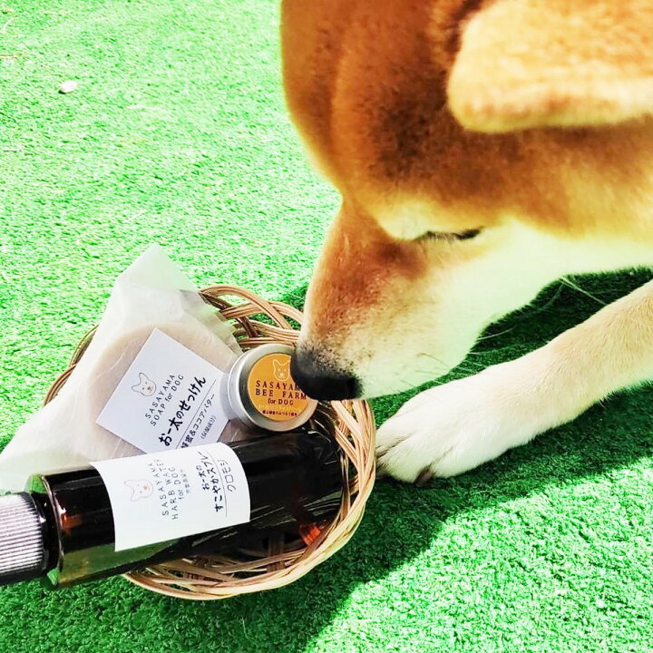 楽天市場 犬用石鹸 クリーム スプレーのセット おー太のせっけん 肉球クリーム スプレーのセット J01j 蜂蜜と石鹸 香り ささやまbeefarm