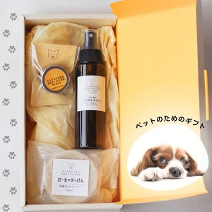 v[g // 024 // [̃Zbg//pΌAN[ Mtg Xv[iFj̃Zbg ybg  ̓