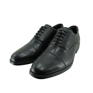 ECCO MELBOURNE STRAIGHTTIP GR[ { Xg[g`bv (BLACK) 621924 rWlXV[Y ubN  N Y V[Y C 56