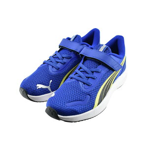 y݁z v[} PUMA Pounce Lite AC+ PS pEX Cg AC+ PS (Vivid Blue/Lemon Sherbert) 311650 Xj[J[j̎q WjA rrbhu[/V[xbg q LbY V[Y C 37
