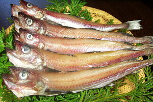 OY@ij^3͂i͖܂͗LƂȂ܂̂łyⓀz