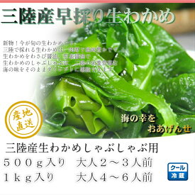 【1kgの商品ページです】【ご指定日不可】新物！今が旬！三陸産生ワカメしゃぶしゃぶ用に最適！4〜6人前◎漁模様、天候などの理由でご指定日は承れない商品となります。システム上ご指定日をご選択できますが、ご指定日は承れません何卒ご了承願います