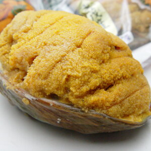 OYĂ80gm1ny茧_YWz