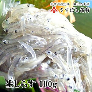 y炷 100gzYn ÉY Yn RY VN É R 炷 VX  100g 񂹃O ܂ hV̓ Mtg v[g n yY CN Y