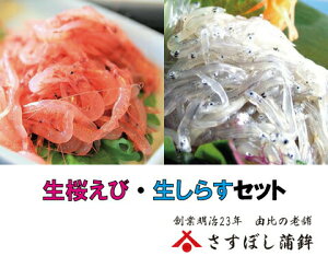 yсE炷Zbgz( 80gE炷100g)É R x͘p  炦 80g 炷 VX  100g 񂹃O ܂ hV̓ Mtg v[g n y