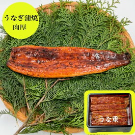 楽天市場 うなぎ 安いの通販