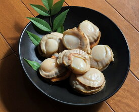 楽天市場 ドブ 貝の通販