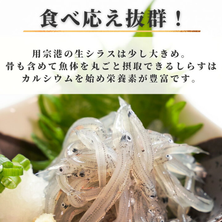 楽天市場】送料無料 駿河湾産 「生シラス 100ｇ×6」 【600g】になります！新鮮で鮮度抜群の状態で急速冷凍かけてある商品です！お刺身・生シラス丼・かき揚げ等々絶品ですよ！  しらす 生しらす 【当店オススメ】 : サスイゲタフード楽天市場店